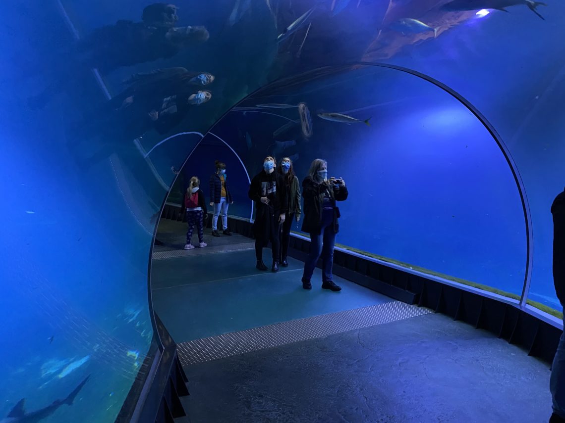 Afrykarium im Zoo Breslau