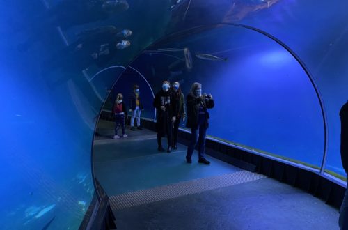 Afrykarium im Zoo Breslau